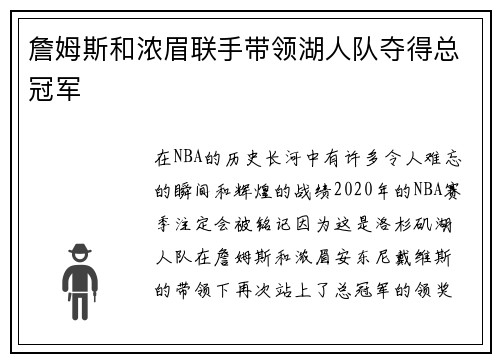 詹姆斯和浓眉联手带领湖人队夺得总冠军
